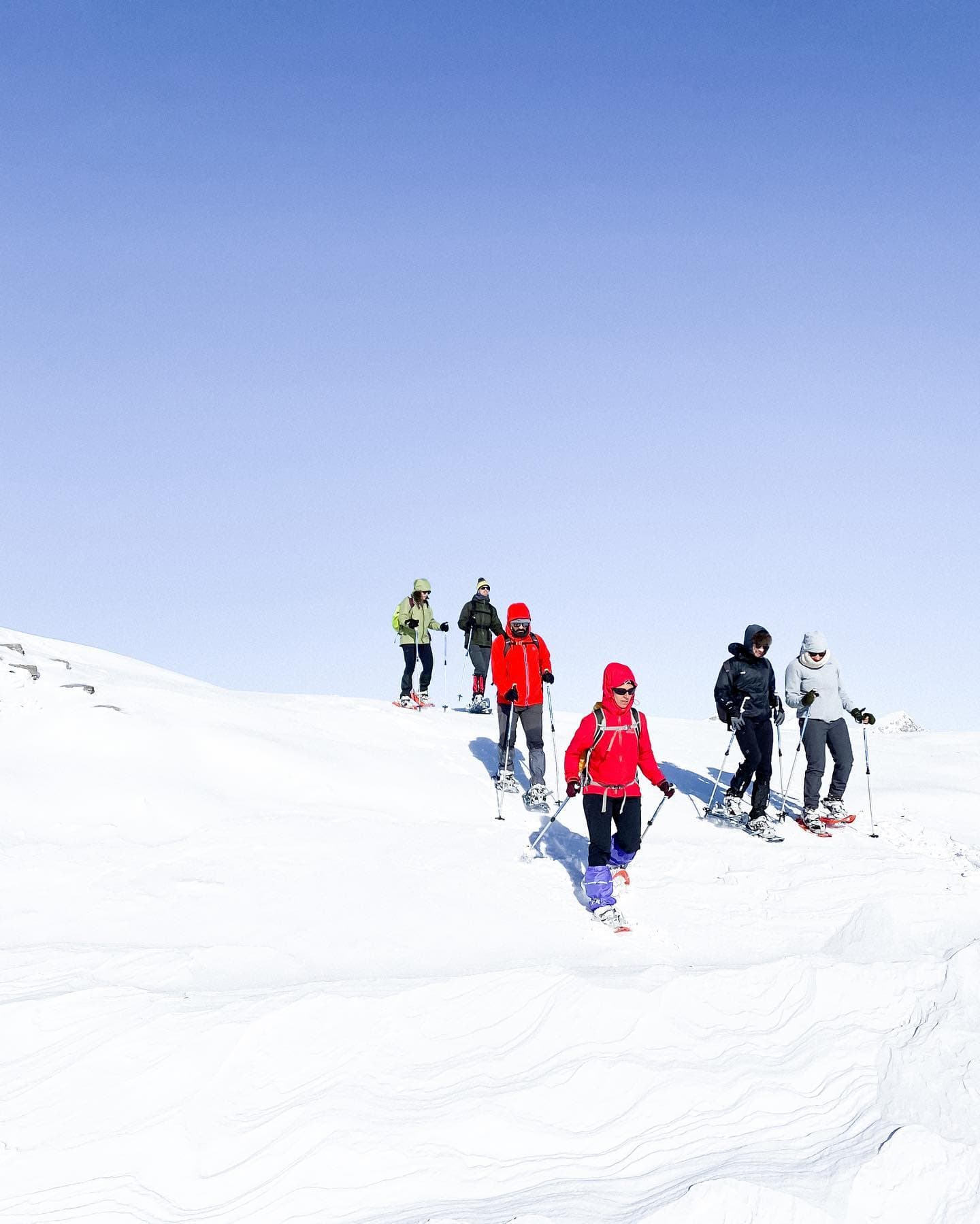 Ruta en raquetas de nieve a La Padiorna: Vive una aventura única en Los Picos de Europa