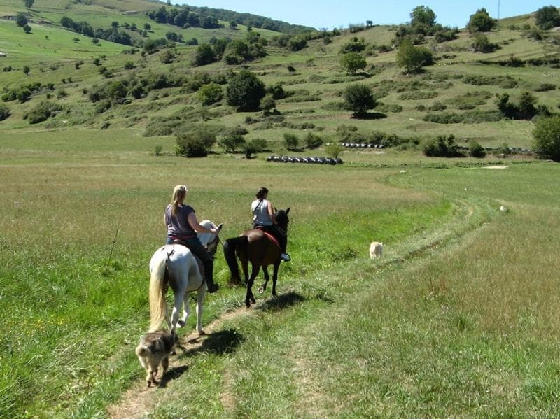 Aventura a Caballo en la Ruta al Monte Caballar: Naturaleza y Experiencia en Cantabria