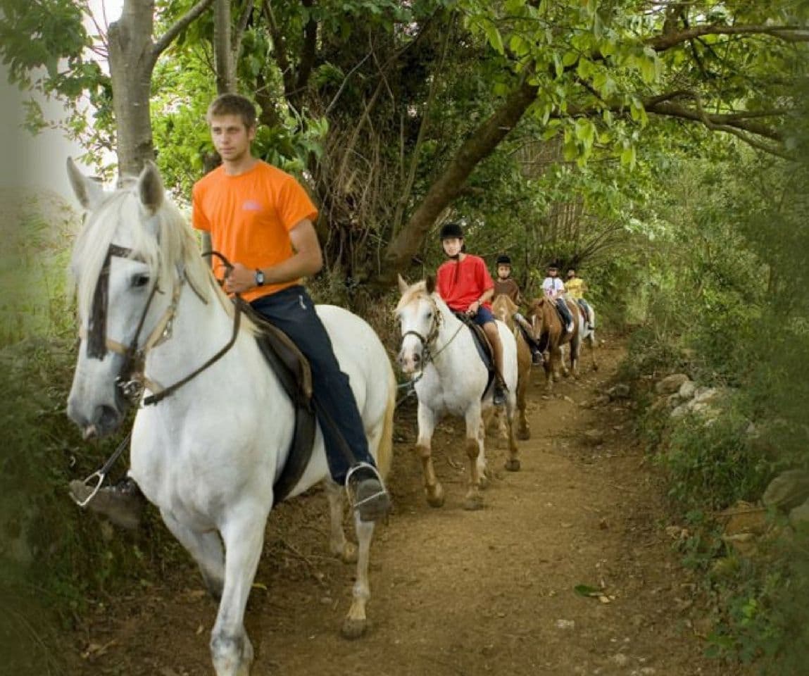 Rutas a caballo en Ribadesella