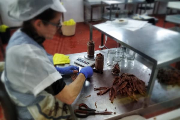 Tour a Santoña desde Santander: Descubre la tradición marinera y la industria conservera