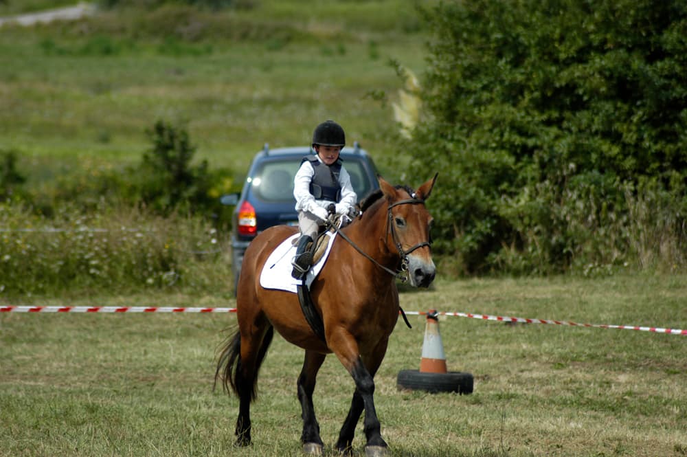 Campamento de equitación en Liencres