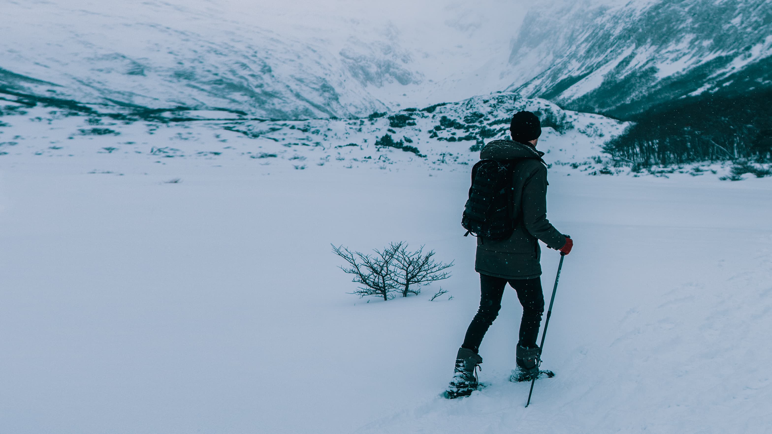 Ruta nocturna con raquetas de nieve