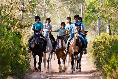 Ruta a Caballo en Gijón: Vive una Experiencia Inolvidable en Villaviciosa/Argüero