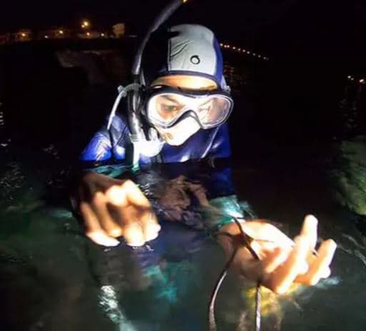 Ruta de snorkel nocturno en Noja