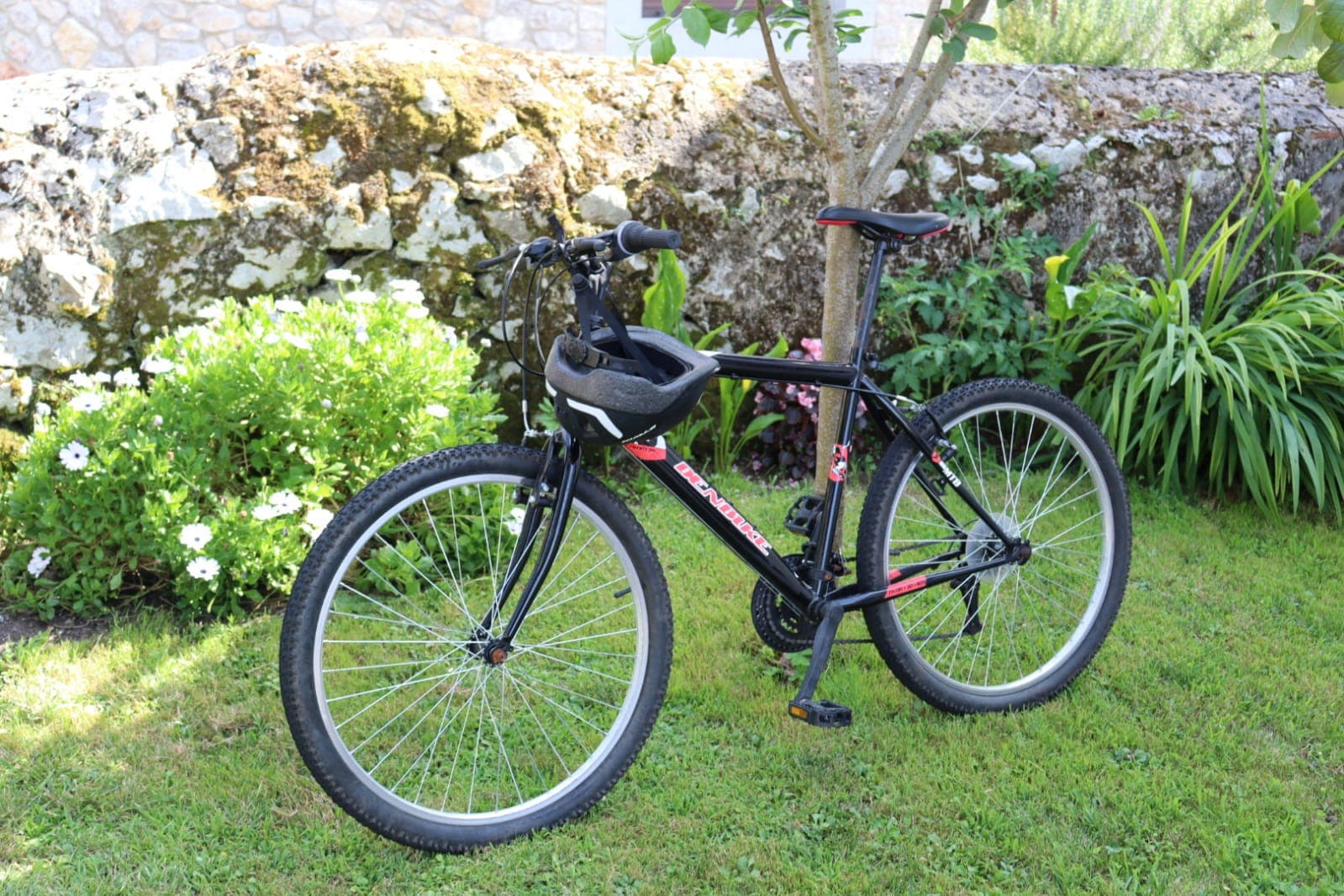 Explora Llanes a tu Ritmo: Alquiler de Bicicletas para Rutas Únicas