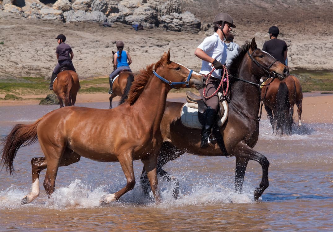 Rutas a caballo en Liencres