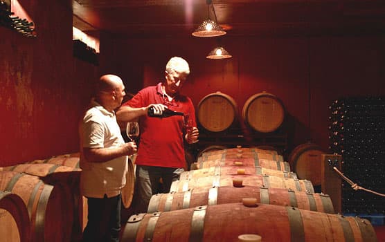 Visita guiada a bodega - destilería en Cabezón de Liébana