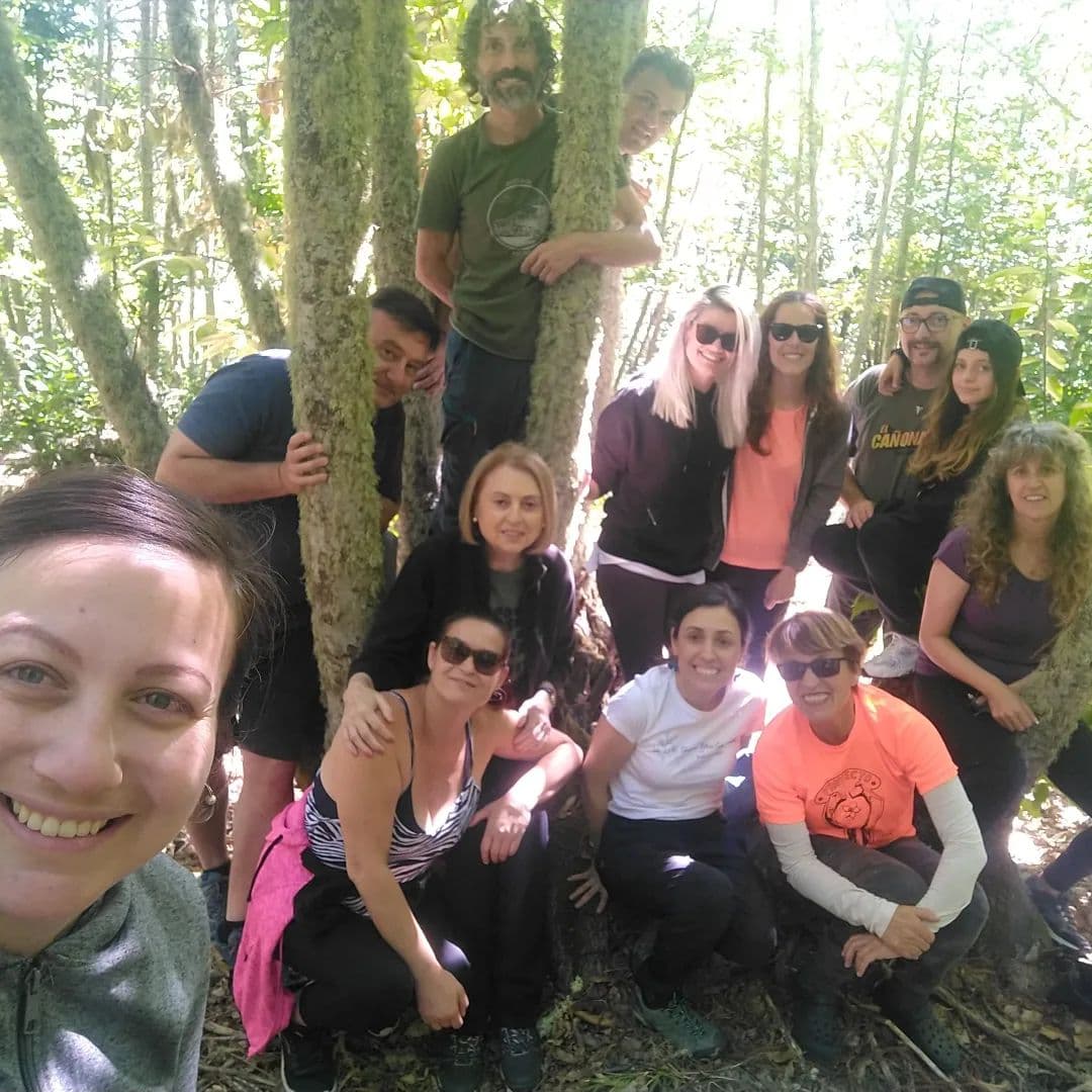 Experiencia de Baño de Bosque en Grupo: Conexión y Relax en la Naturaleza