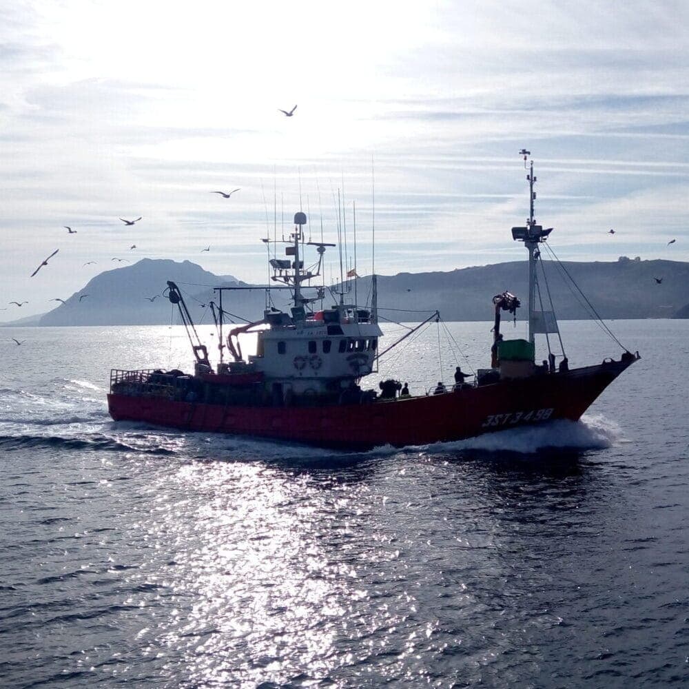 Descubre la Tradición Pesquera de Santoña: Tour Cultural y Paseo en Barco