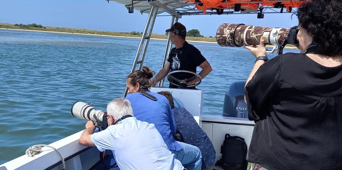 Ruta en Barco Santander: Espacio Natural Protegido