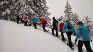 Raquetas de nieve en el Bosque de Peloñu