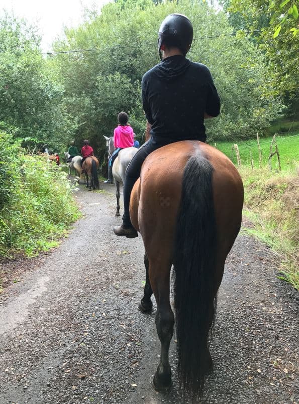 Paseo a caballo por los impresionantes paisajes de Cantabria para todas las edades