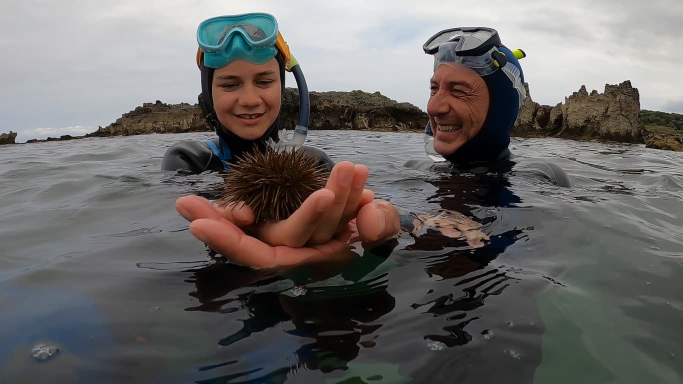 Alquiler de equipo de buceo en Noja