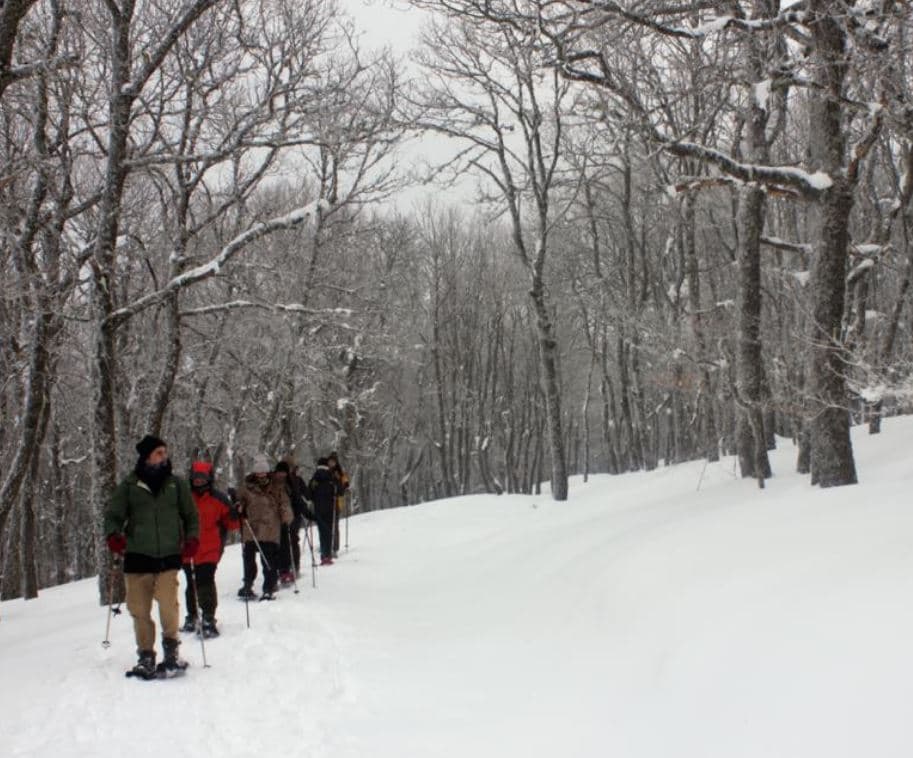 Ruta personalizada en raquetas de nieve