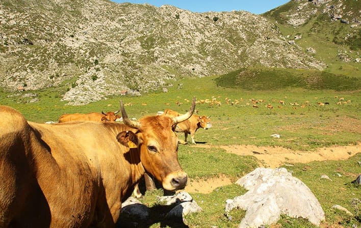 Ruta por la Senda del Arcediano