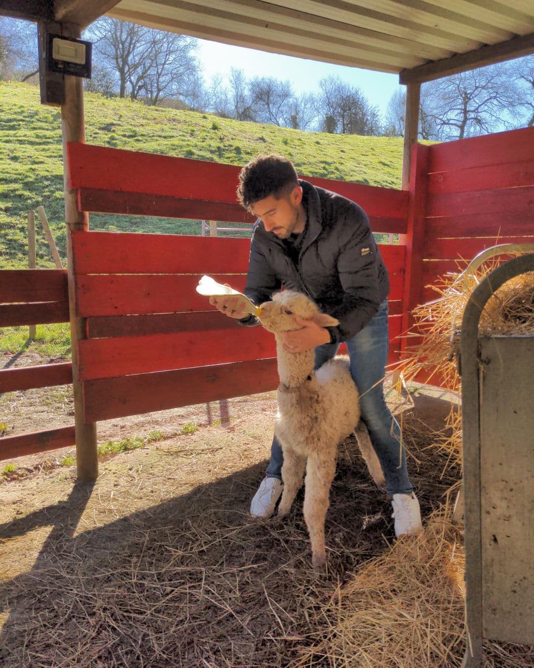 Visita privada a granja de alpacas y taller textil: Moda sostenible en acción