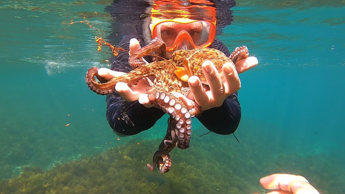 Ruta de snorkel en Noja