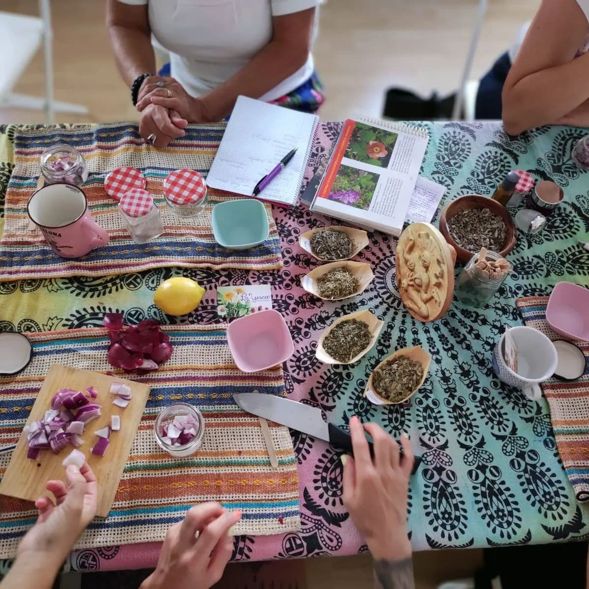 Taller de cocina con plantas silvestres en Colindres o Soba