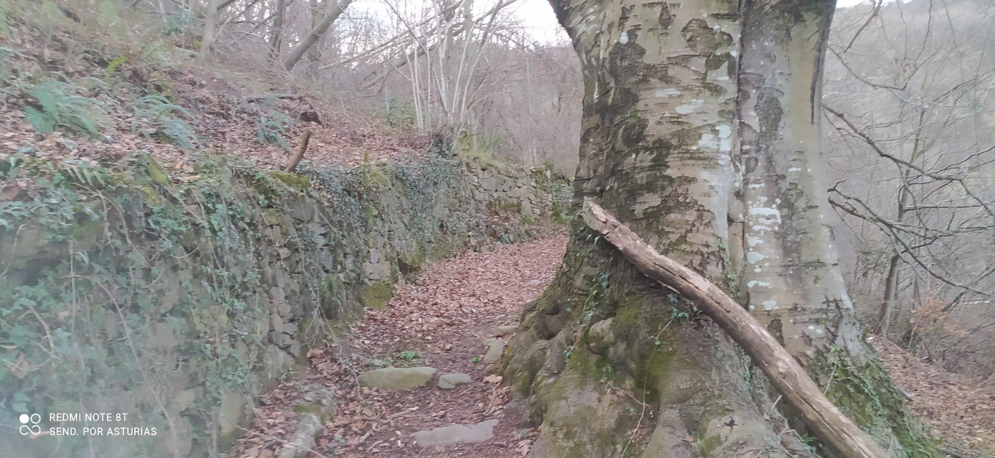 Ruta Güeria de Urbies: Un Viaje Histórico por la Minería del Carbón en Asturias