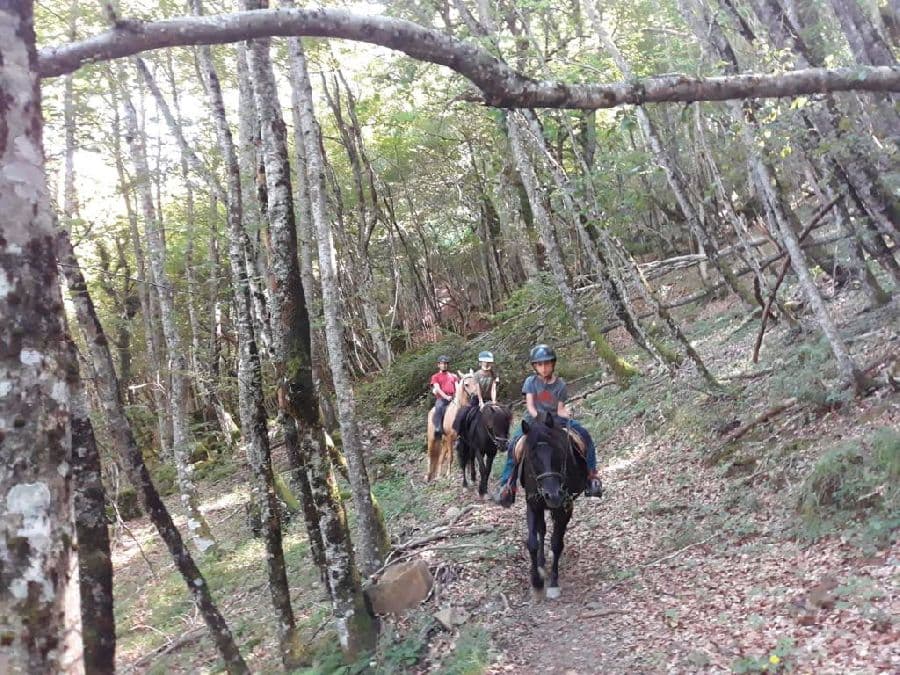 Rutas a caballo en Fuente Dé y Unquera