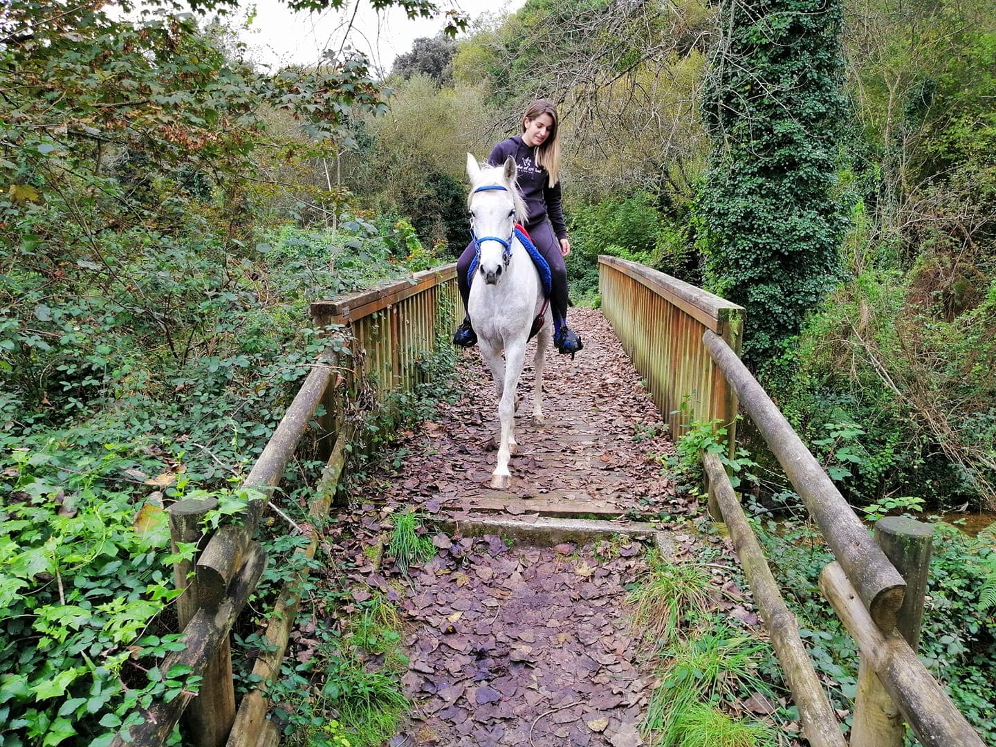 Ruta a caballo en Asturias hasta la Cuevona de Cuevas y Monte Moru