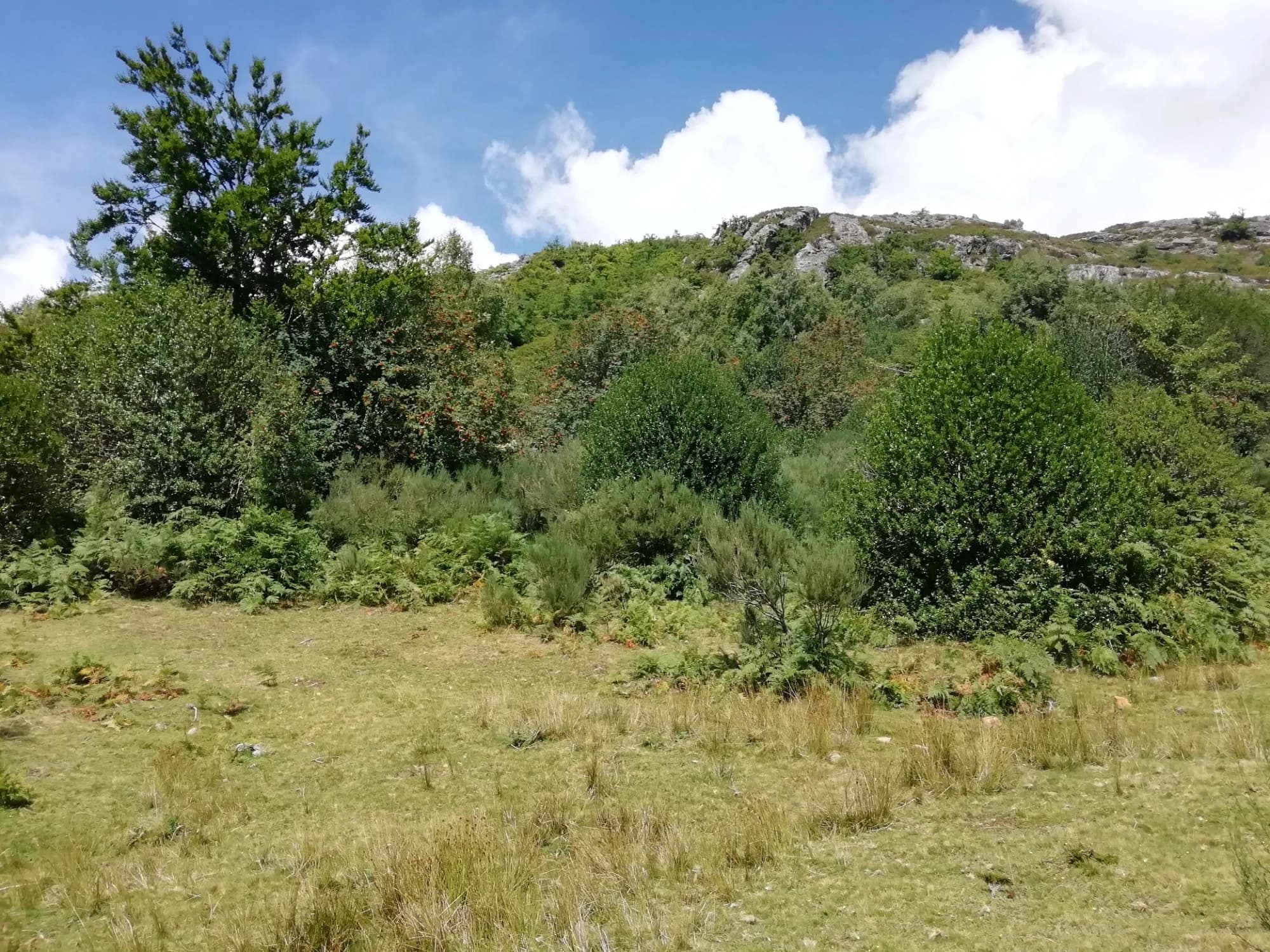 Ruta del Oso y las Fuentes del Narcea en 4x4