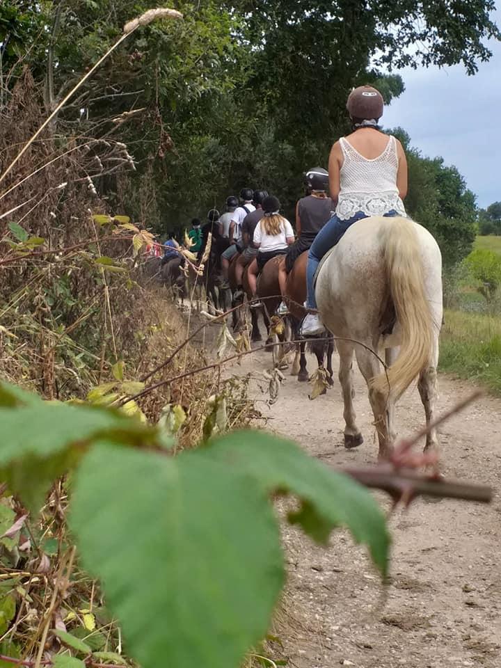 Paseos a caballo en Santillana del Mar