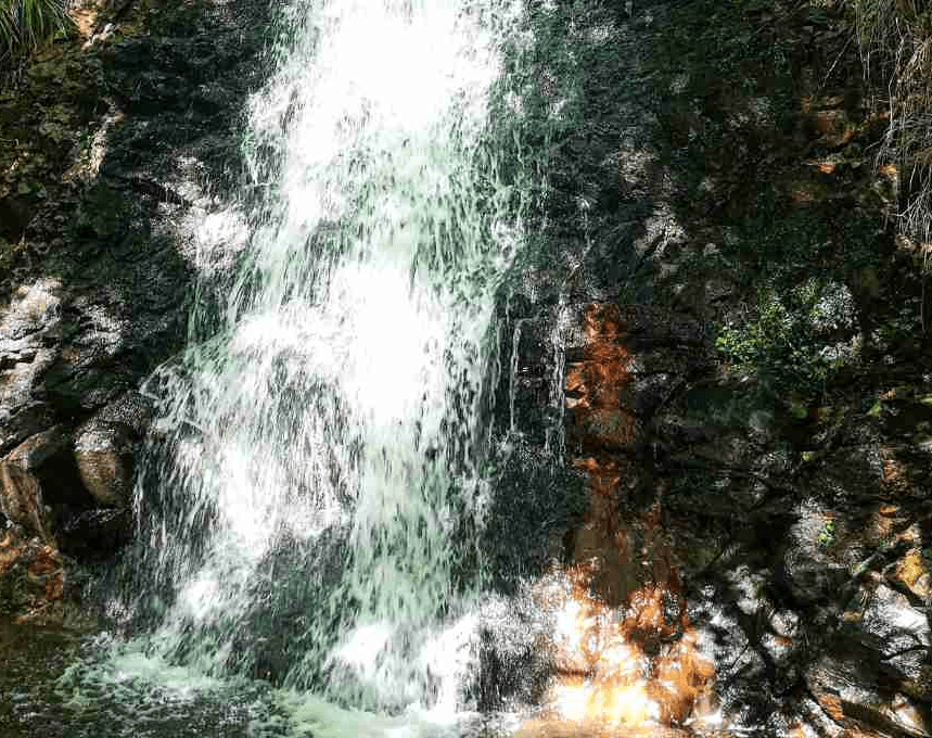 Slide 1