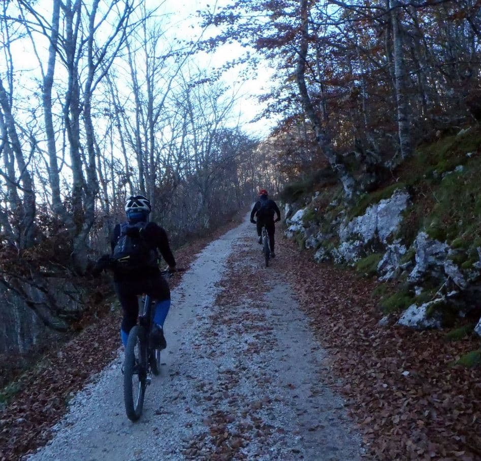 Ruta en bicicleta de montaña