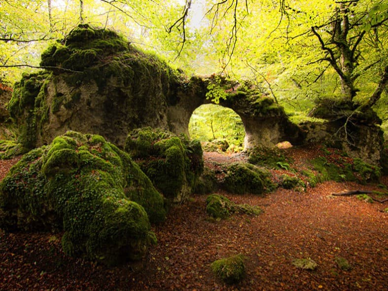 Compass Orienteering in Entzia: Discover the North Like an Expert