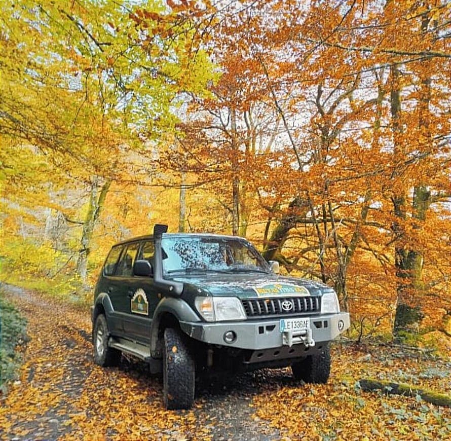 4x4 route through vineyards and wine tasting of Cangas del Narcea in Asturias