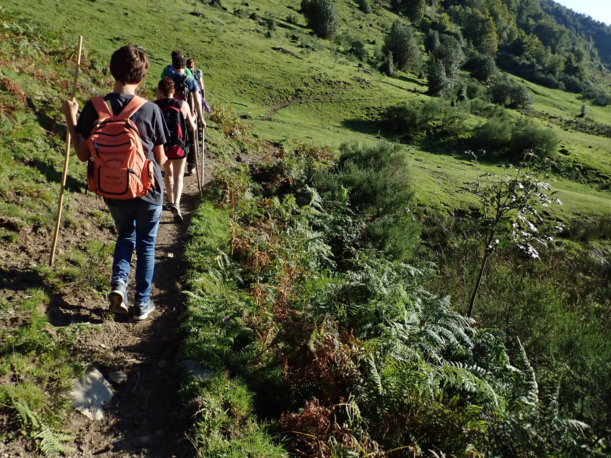 Ruta de senderismo en los Lagos de Covadonga: naturaleza y paisajes de ensueño