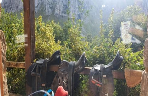 Horseback riding to Aloños: Enjoy nature in Cantabria