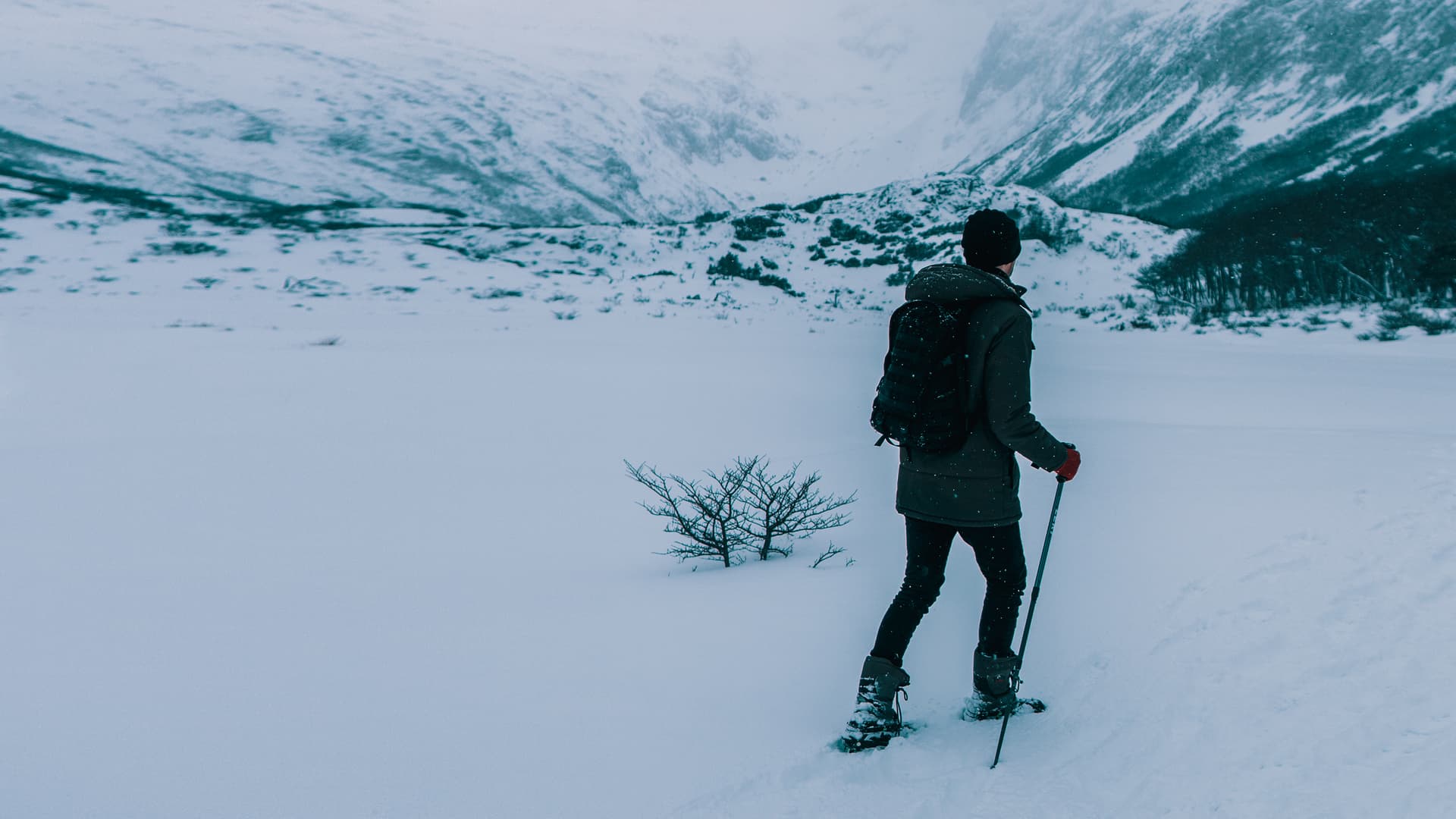 Ruta en raquetas de nieve en Asturias: vive la magia de la noche en la nieve