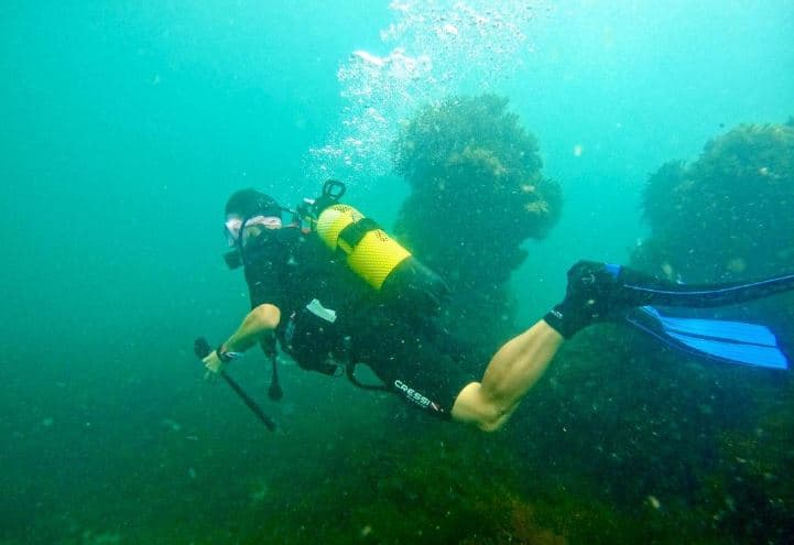 Inmersión en Las Liebres: Descubre el Tesoro Escondido del Océano