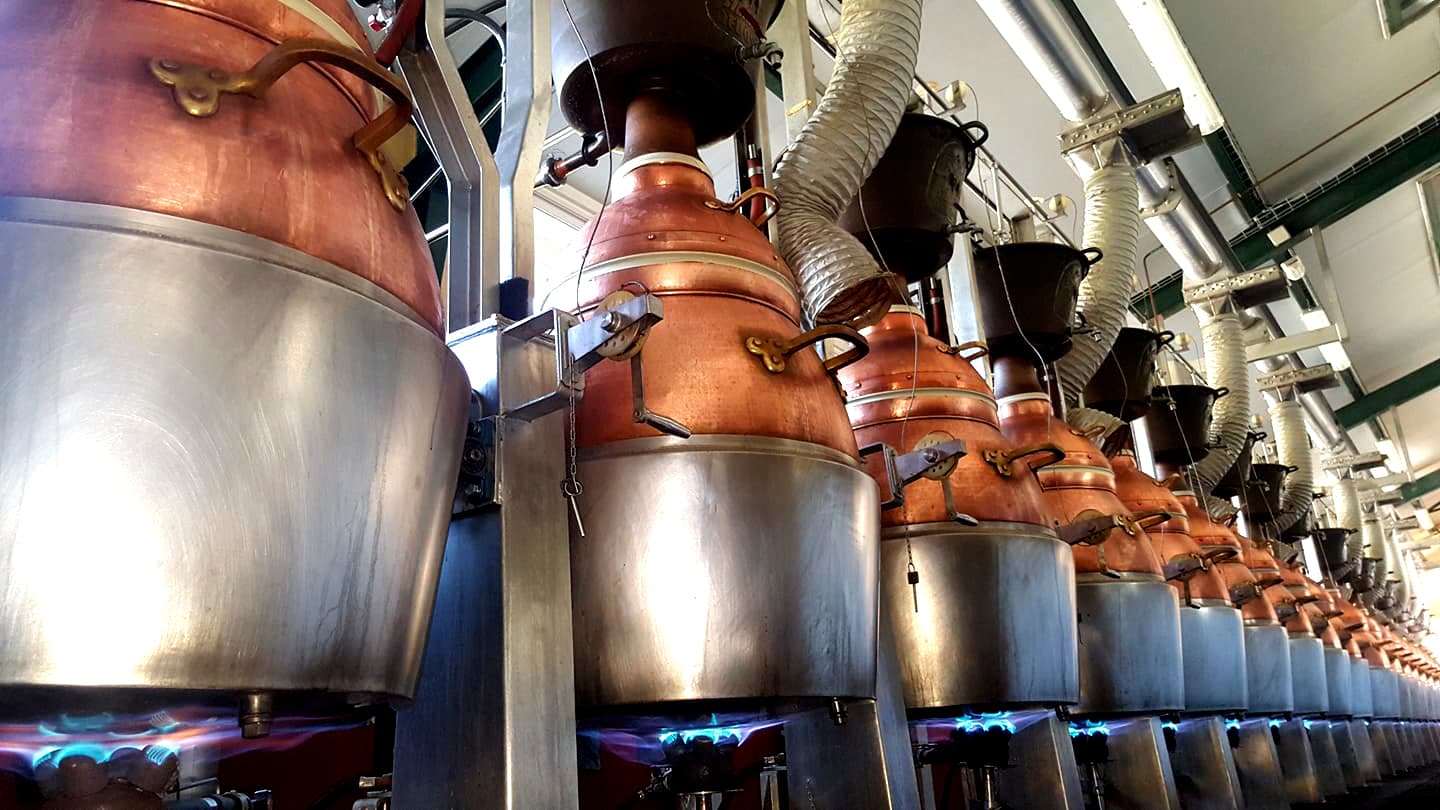 Visita a destilería de orujos y aguardientes