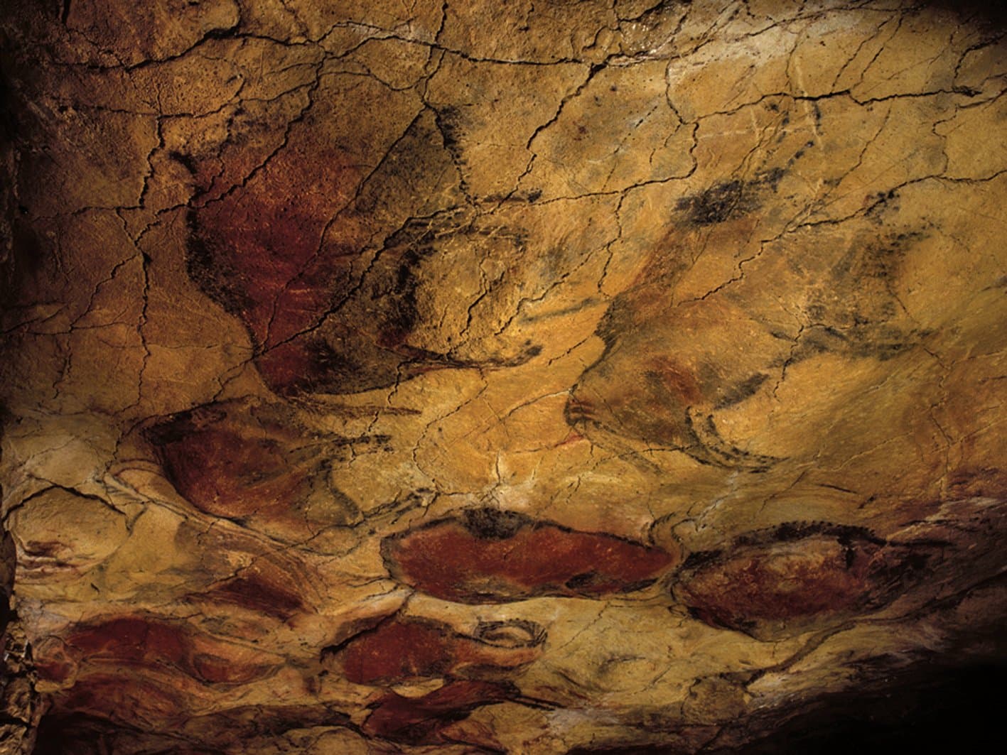 Visita guiada por la Neocueva y Museo de Altamira