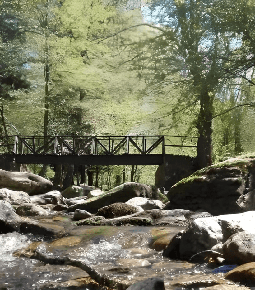 Ruta Senderista de los Puentes de Ucieda: Descubre el Paraíso Natural de Cantabria