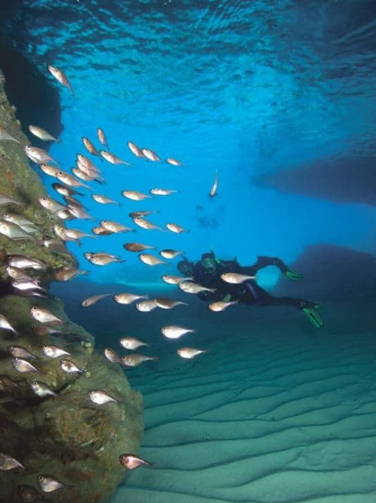 PADI Discover Scuba Diver Try Diving: Your first dive in the ocean