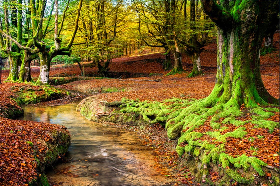 Hiking in the Gorbea Natural Park: Discover the charming trails in Álava