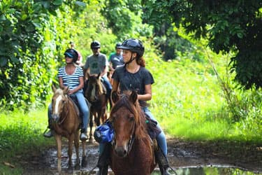 Ruta Safari a caballo en Soano, Noja
