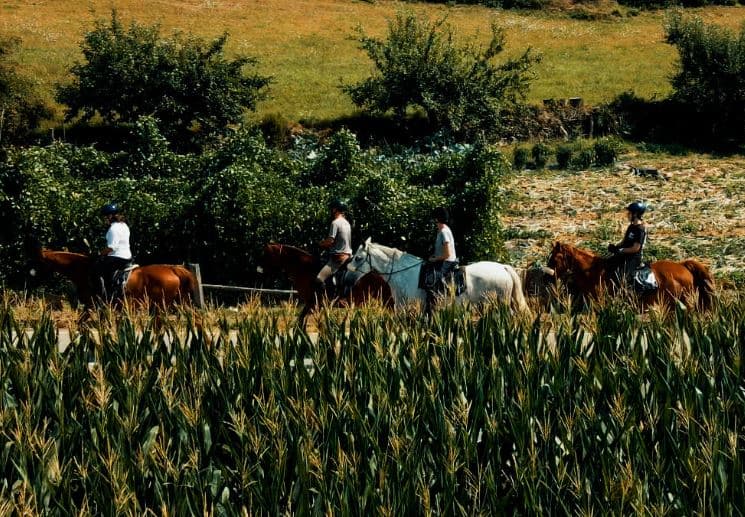Circular Horseback Riding Route from Vilarchao: Adventure in Asturian Nature