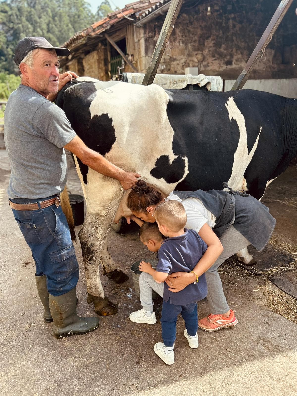 Ganadero por un día en Asturias: Vive un día como un verdadero ganadero