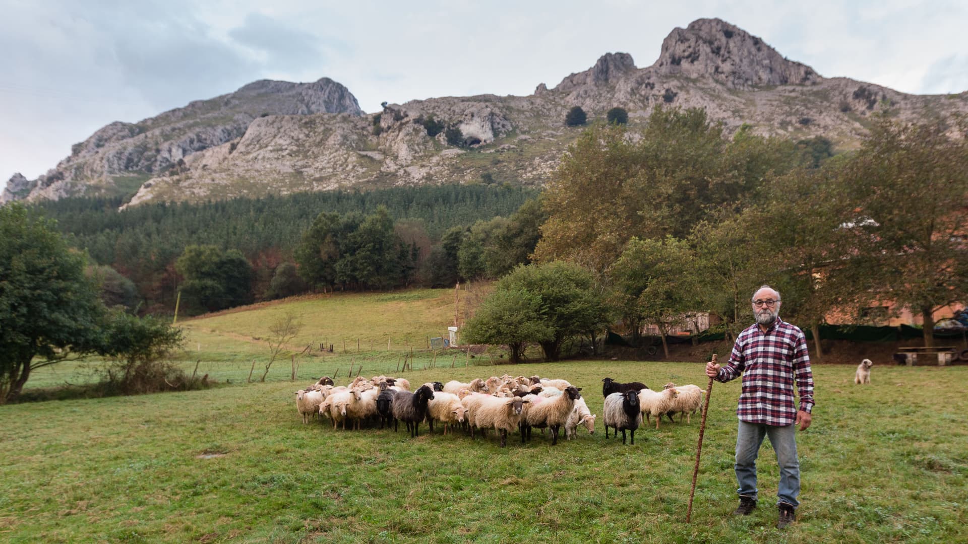 Shepherd for a Day in the Basque Country: Nature, tradition and flavour in Abadiño