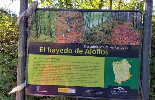 Ruta a caballo al Hayal de Aloños: Aventura natural inmersiva