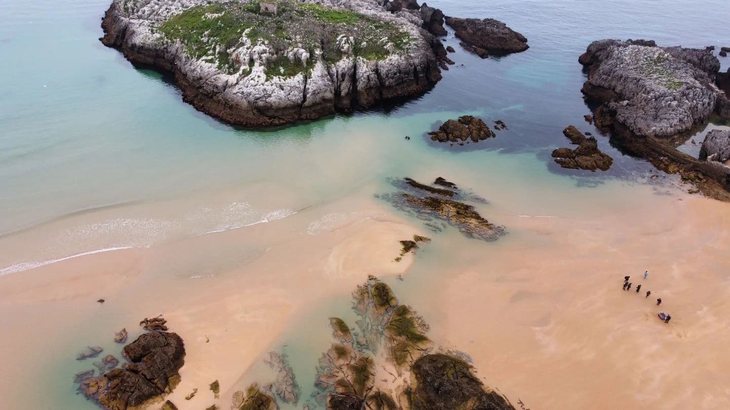 Inmersión en Los Cañones: Explora los Majestuosos Cañones Submarinos