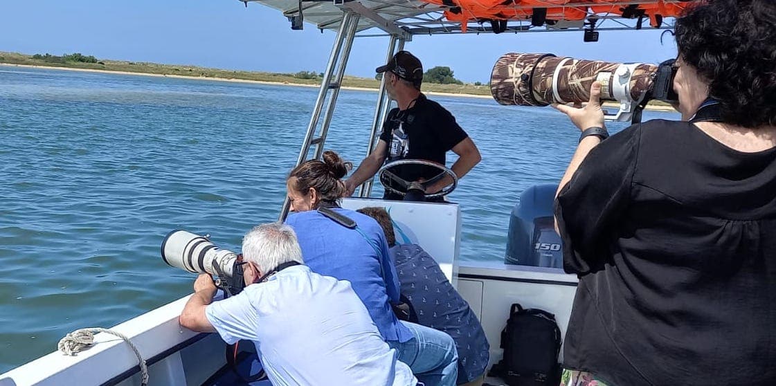 Ecological adventure in the bay of Santander: Sailing between protected natural areas