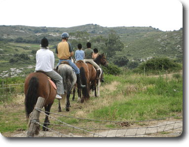 Rutas a caballo por la Sierra de Boria