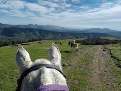 Ruta al Mirador del Fitu: Una Aventura Inolvidable a Caballo