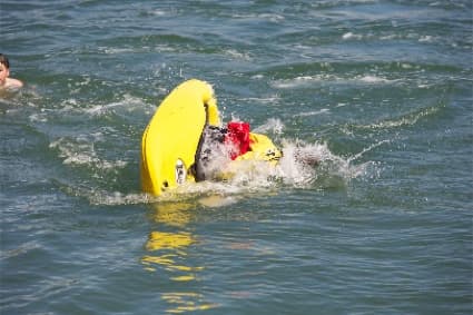 Canoe course in Asturias: Master Eskimo and improve your safety